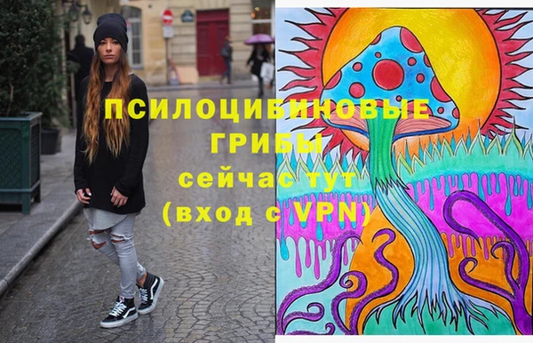 каннабис Коряжма