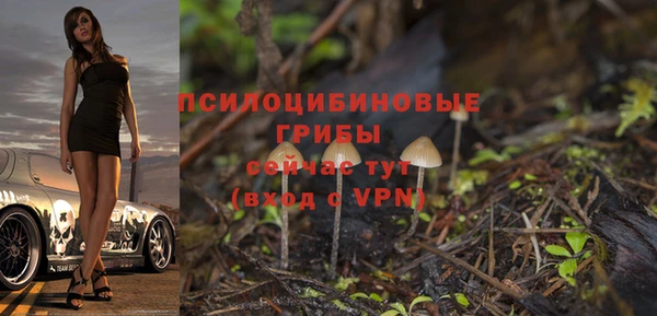 каннабис Коряжма