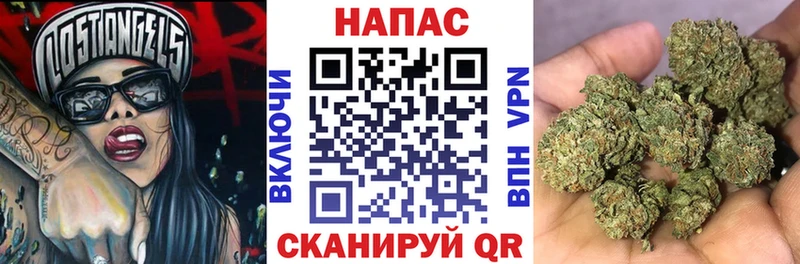 Купить где  Ермолино  Бошки Шишки семена 